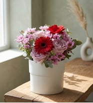 Beyaz Saksıda Papatya&Gerbera ve Güller
