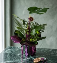 Mor-Yeşil Buket Kağıdında Monstera