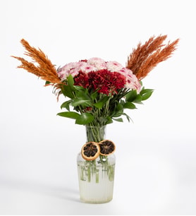 Papatya-Gerbera