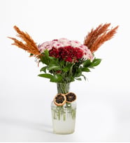 Papatya-Gerbera