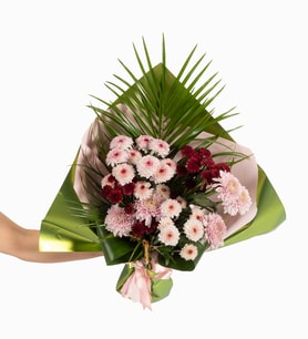 Papatya-Gerbera