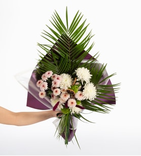 Papatya-Gerbera