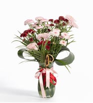 Papatya-Gerbera
