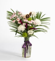 Papatya-Gerbera