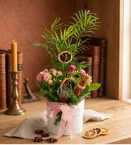 Beyaz Polimer Saksıda Chamadora ve Kalanchoe