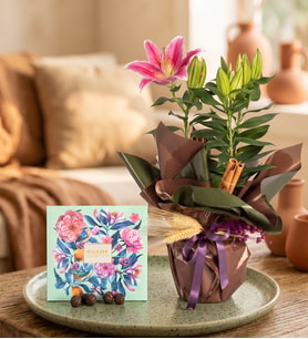 Yeşil Kahverengi Bukette Pembe Lilyum ve Gurme Lezzetler