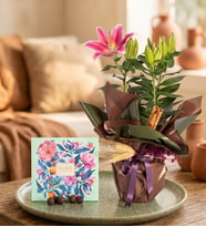 Yeşil Kahverengi Bukette Pembe Lilyum ve Gurme Lezzetler