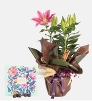 Yeşil Kahverengi Bukette Pembe Lilyum ve Gurme Lezzetler
