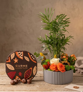 Gri Polimer Saksıda Chamadora ve Gurme Lezzetler