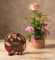 Kiremit Saksıda Güller ve Gurme Lezzetler