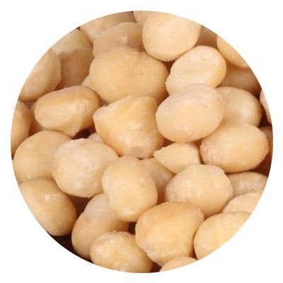 macadamia fındığı