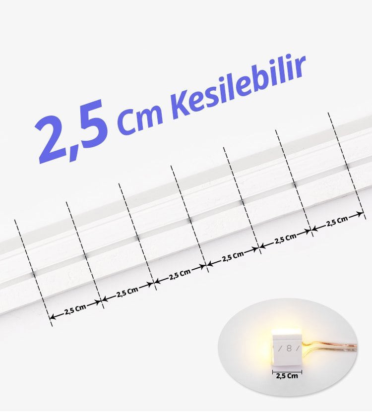 Powermaster 12 Volt 100 Metre Mavi Neon Şerit Led
