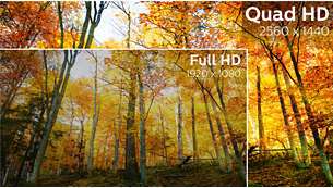 Quad HD 2560 x 1440 piksel ile kristal netliğinde görüntüler
