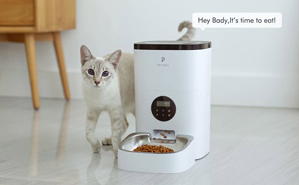 Otomatik Kedi Besleyici
