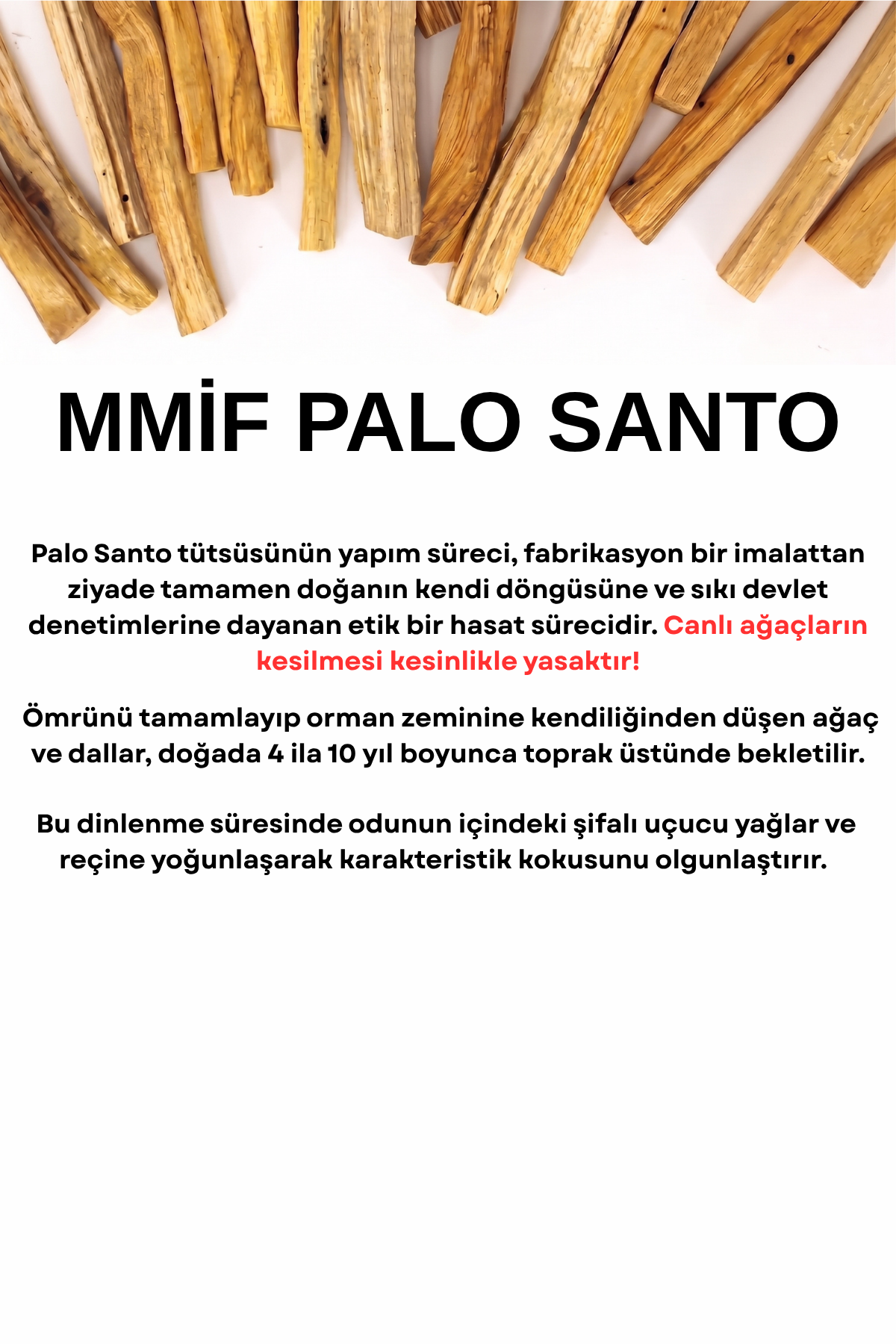 palo3.png