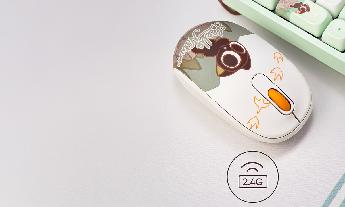 2,4 GHz Kablosuz Bağlantı