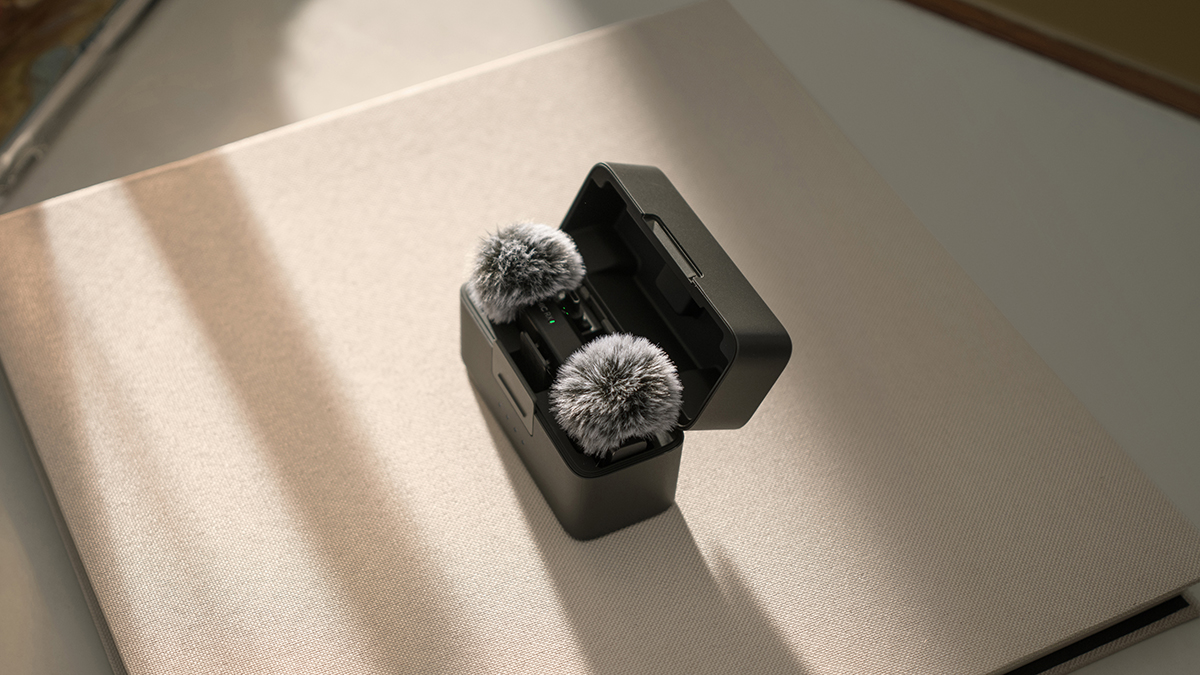 Mic Mini