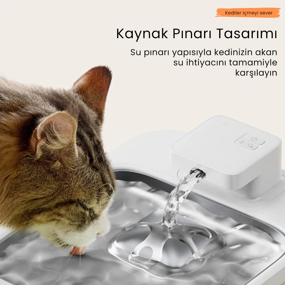 PETFİT