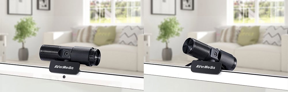 Avermedia Pw313 Webcam H4