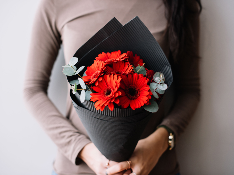 gerbera bakımı